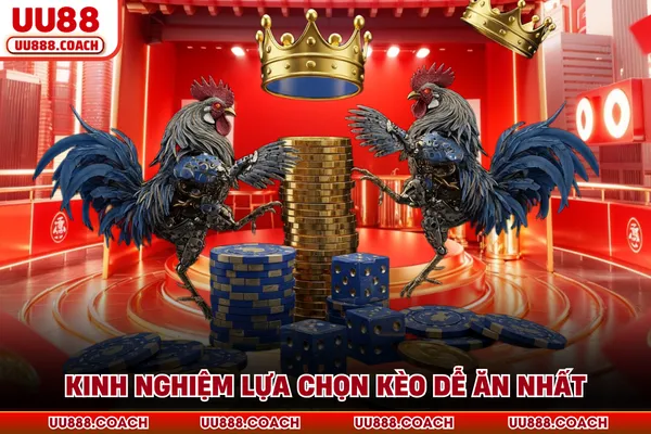 Kinh nghiệm lựa chọn kèo dễ ăn nhất Kinh nghiệm lựa chọn kèo dễ ăn nhất